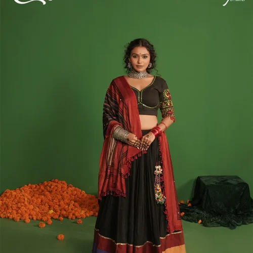 Black Multicolor Embroidered Border Garba Chaniya Choli